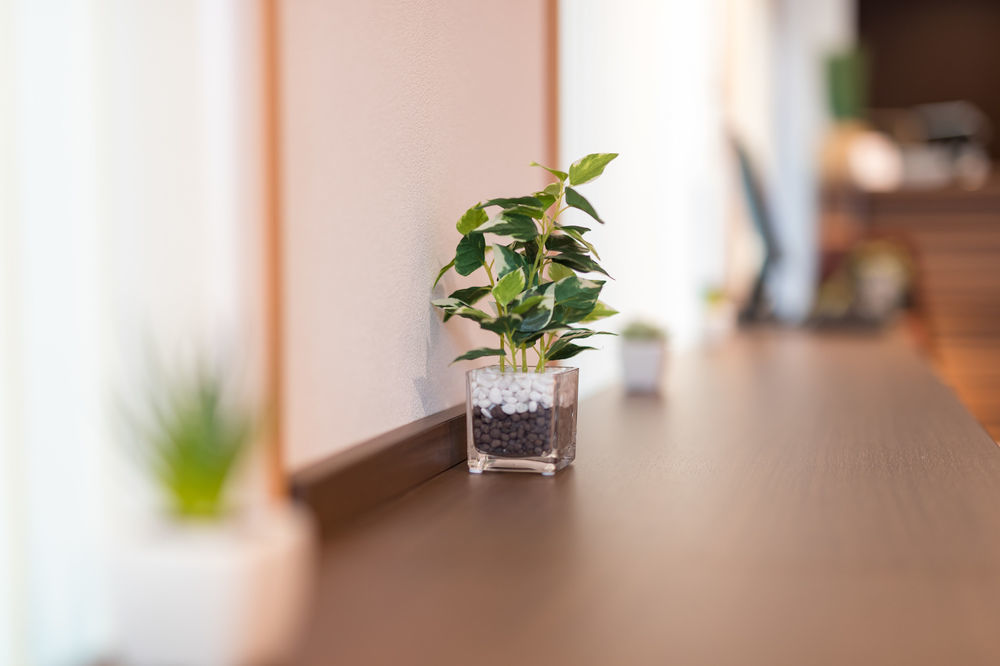 Simple Stay Kanon Nanba Minami Ósaka Exteriér fotografie